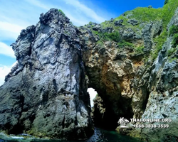 Остров с кроликами Ко Талу купить экскурсию Паттайя Тайланд фото 120