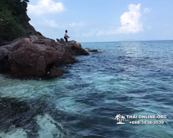 Остров с кроликами Ко Талу купить экскурсию Паттайя Тайланд фото 38