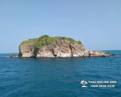 Остров с кроликами Ко Талу купить экскурсию Паттайя Тайланд фото 77