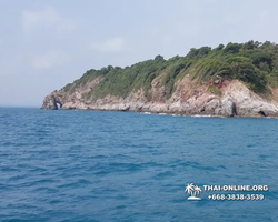 Остров с кроликами Ко Талу купить экскурсию Паттайя Тайланд фото 57