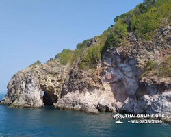 Остров с кроликами Ко Талу купить экскурсию Паттайя Тайланд фото 28