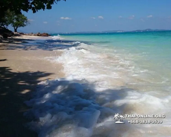Остров с кроликами Ко Талу купить экскурсию Паттайя Тайланд фото 72