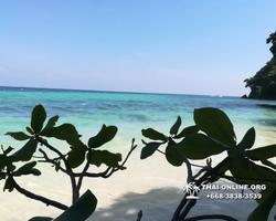 Остров с кроликами Ко Талу купить экскурсию Паттайя Тайланд фото 80