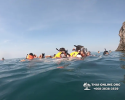 Остров с кроликами Ко Талу купить экскурсию Паттайя Тайланд фото 98