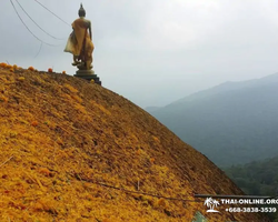 Восхождение к святому камню на горе Китча Кут в Таиланде - фото 55