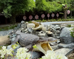 Экскурсия Сокровища Чонбури три зоопарка Паттайи - фото 41