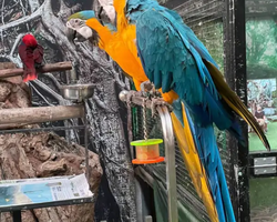 Детские Приключения экскурсия из Паттайи с русским гидом - фото 18