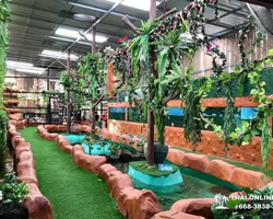 Экскурсия Детские Приключения в Паттайе Тайланде - фото 24