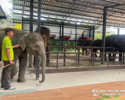 Siri Park and Zoo Дискавери Тур в Паттайе Таиланде фото экскурсии 28