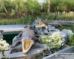 Siri Park and Zoo Дискавери Тур в Паттайе Таиланде фото экскурсии 69