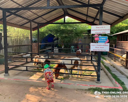 Siri Park and Zoo Дискавери Тур в Паттайе Таиланде фото экскурсии 3