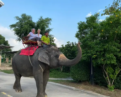 Siri Park and Zoo Дискавери Тур в Паттайе Таиланде фото экскурсии 39