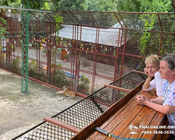 Siri Park and Zoo Дискавери Тур в Паттайе Таиланде фото экскурсии 59