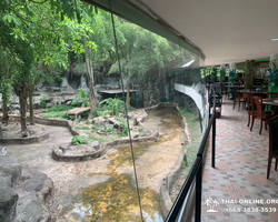 Siri Park and Zoo Дискавери Тур в Паттайе Таиланде фото экскурсии 97