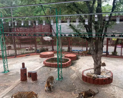 Siri Park and Zoo Дискавери Тур в Паттайе Таиланде фото экскурсии 67