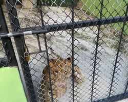 Siri Park and Zoo Дискавери Тур в Паттайе Таиланде фото экскурсии 80