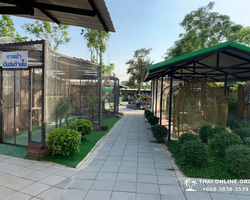 Siri Park and Zoo Дискавери Тур в Паттайе Таиланде фото экскурсии 10