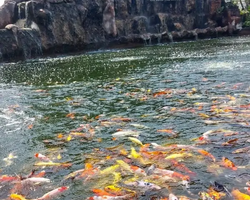 Siri Park and Zoo Дискавери Тур в Паттайе Таиланде фото экскурсии 63