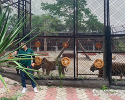 Siri Park and Zoo Дискавери Тур в Паттайе Таиланде фото экскурсии 55