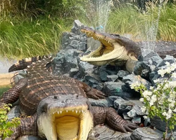 Siri Park and Zoo Дискавери Тур в Паттайе Таиланде фото экскурсии 64