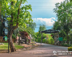 Река Квай Парадис экскурсия в Тайланде из Паттайи фото 101