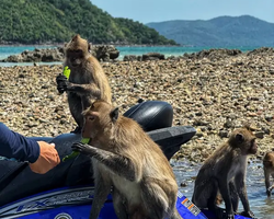Экскурсия на водных мотоциклах Jet Ski Паттайя Таиланд - фото 72