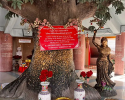 Башня Дракона и Миллион Будд экскурсия по Бангкоку - фото 123