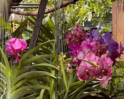 Башня Дракона и Миллион Будд экскурсия по Бангкоку - фото 122