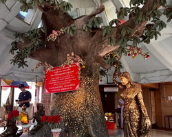 Башня Дракона и Миллион Будд экскурсия по Бангкоку - фото 106