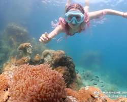 Остров Paradise экскурсия на Ко Чуан из паттайи Тайланд - фото 11