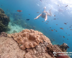 Остров Paradise экскурсия на Ко Чуан из паттайи Тайланд - фото 26