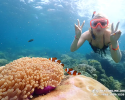 Остров Paradise турпоезка на Koh Chuang с Паттайи в Таиланде - фото 16