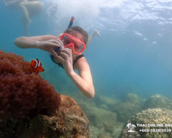 Остров Paradise турпоезка на Koh Chuang с Паттайи в Таиланде - фото 21