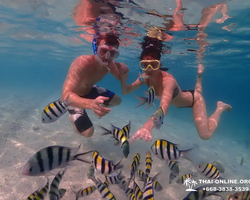 Остров Paradise турпоезка на Koh Chuang с Паттайи в Таиланде - фото 15