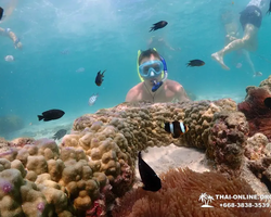 Остров Paradise турпоезка на Koh Chuang с Паттайи в Таиланде - фото 3