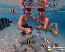 Остров Paradise экскурсия на Ко Чуан из паттайи Тайланд - фото 12