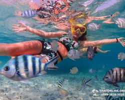 Остров Paradise экскурсия на Ко Чуан из паттайи Тайланд - фото 25