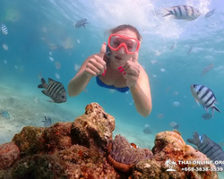 Остров Paradise турпоезка на Koh Chuang с Паттайи в Таиланде - фото 18