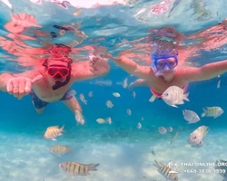 Остров Paradise экскурсия на Ко Чуан из паттайи Тайланд - фото 37