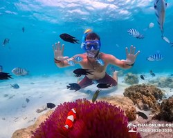 Остров Paradise турпоезка на Koh Chuang с Паттайи в Таиланде - фото 47