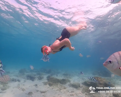 Остров Paradise турпоезка на Koh Chuang с Паттайи в Таиланде - фото 19