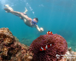 Остров Paradise турпоезка на Koh Chuang с Паттайи в Таиланде - фото 29