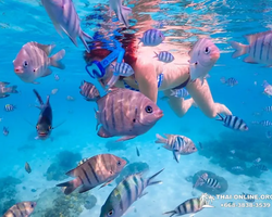 Остров Paradise экскурсия на Ко Чуан из паттайи Тайланд - фото 36