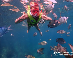 Остров Paradise турпоезка на Koh Chuang с Паттайи в Таиланде - фото 9