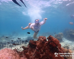 Остров Paradise экскурсия на Ко Чуан из паттайи Тайланд - фото 35