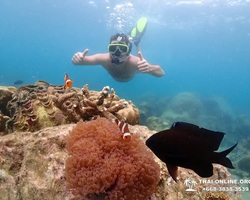 Остров Paradise турпоезка на Koh Chuang с Паттайи в Таиланде - фото 8