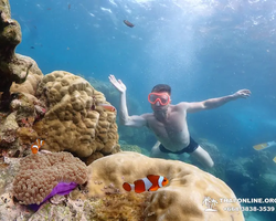 Остров Paradise турпоезка на Koh Chuang с Паттайи в Таиланде - фото 5