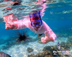 Остров Paradise турпоезка на Koh Chuang с Паттайи в Таиланде - фото 31