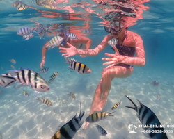 Остров Paradise экскурсия на Ко Чуан из паттайи Тайланд - фото 14