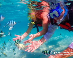 Остров Paradise турпоезка на Koh Chuang с Паттайи в Таиланде - фото 33